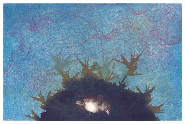 Kırlangıç Yuvasındaki Kadın