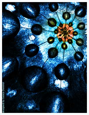 İndirin Güneşin Perdelerini | Genco Demirer