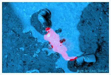 Piasora III | Güneş Bozkurt