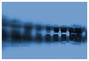 Denemeler | Güneş Bozkurt